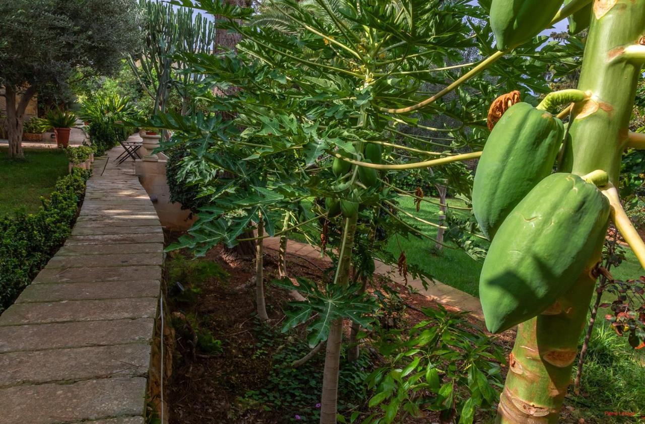 Villa Selmunett Naxxar Buitenkant foto