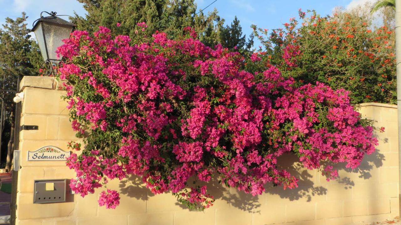 Villa Selmunett Naxxar Buitenkant foto